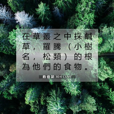 Picture 07 - 約 伯 記 30:4 CUVT - 在 草 叢 之 中 採 鹹 草 ， 羅 騰 （ - Bible Verse Picture