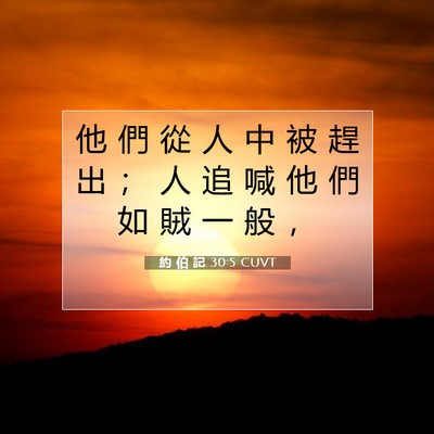 Picture 07 - 約 伯 記 30:5 CUVT - 他 們 從 人 中 被 趕 出 ； 人 追 喊 - Bible Verse Picture