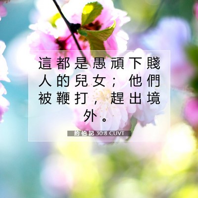 Picture 07 - 約 伯 記 30:8 CUVT - 這 都 是 愚 頑 下 賤 人 的 兒 女 ； - Bible Verse Picture