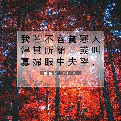Picture 07 - 約 伯 記 31:16 CUVT - 我 若 不 容 貧 寒 人 得 其 所 願 ， - Bible Verse Picture