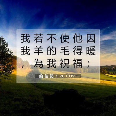 Picture 07 - 約 伯 記 31:20 CUVT - 我 若 不 使 他 因 我 羊 的 毛 得 暖 - Bible Verse Picture