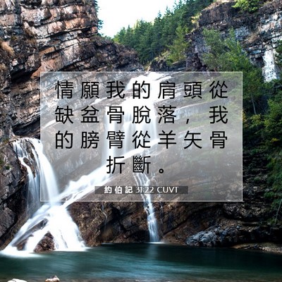 Picture 07 - 約 伯 記 31:22 CUVT - 情 願 我 的 肩 頭 從 缺 盆 骨 脫 落 - Bible Verse Picture