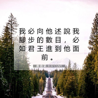Picture 07 - 約 伯 記 31:37 CUVT - 我 必 向 他 述 說 我 腳 步 的 數 目 - Bible Verse Picture