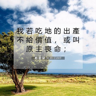 Picture 07 - 約 伯 記 31:39 CUVT - 我 若 吃 地 的 出 產 不 給 價 值 ， - Bible Verse Picture