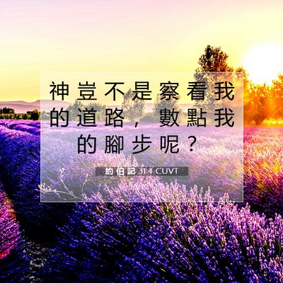 Picture 07 - 約 伯 記 31:4 CUVT - 神 豈 不 是 察 看 我 的 道 路 ， 數 - Bible Verse Picture