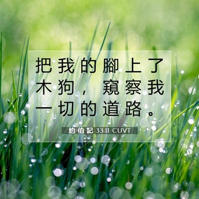 Picture 07 - 約 伯 記 33:11 CUVT - 把 我 的 腳 上 了 木 狗 ， 窺 察 我 - Bible Verse Picture