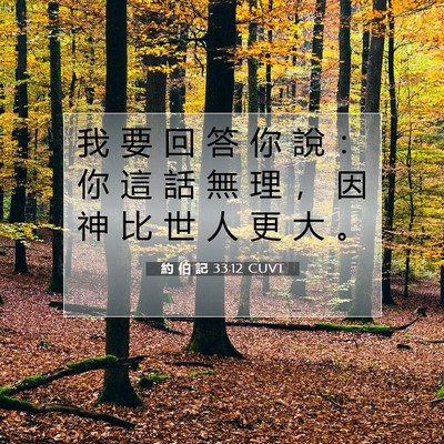 Picture 07 - 約 伯 記 33:12 CUVT - 我 要 回 答 你 說 ： 你 這 話 無 理 - Bible Verse Picture