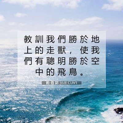 Picture 07 - 約 伯 記 35:11 CUVT - 教 訓 我 們 勝 於 地 上 的 走 獸 ， - Bible Verse Picture