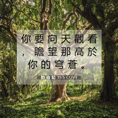 Picture 07 - 約 伯 記 35:5 CUVT - 你 要 向 天 觀 看 ， 瞻 望 那 高 於 - Bible Verse Picture