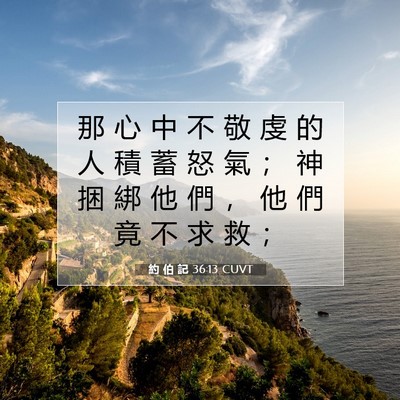 Picture 07 - 約 伯 記 36:13 CUVT - 那 心 中 不 敬 虔 的 人 積 蓄 怒 氣 - Bible Verse Picture