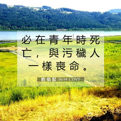 Picture 07 - 約 伯 記 36:14 CUVT - 必 在 青 年 時 死 亡 ， 與 污 穢 人 - Bible Verse Picture