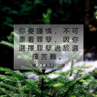Picture 07 - 約 伯 記 36:21 CUVT - 你 要 謹 慎 ， 不 可 重 看 罪 孽 ， - Bible Verse Picture
