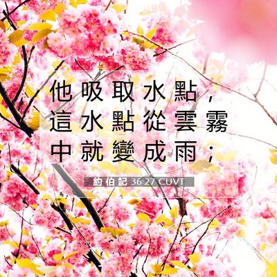Picture 07 - 約 伯 記 36:27 CUVT - 他 吸 取 水 點 ， 這 水 點 從 雲 霧 - Bible Verse Picture