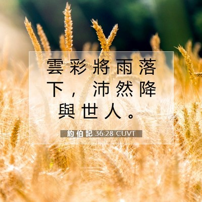 Picture 07 - 約 伯 記 36:28 CUVT - 雲 彩 將 雨 落 下 ， 沛 然 降 與 世 - Bible Verse Picture