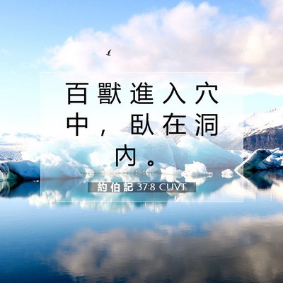 Picture 07 - 約 伯 記 37:8 CUVT - 百 獸 進 入 穴 中 ， 臥 在 洞 內 - Bible Verse Picture
