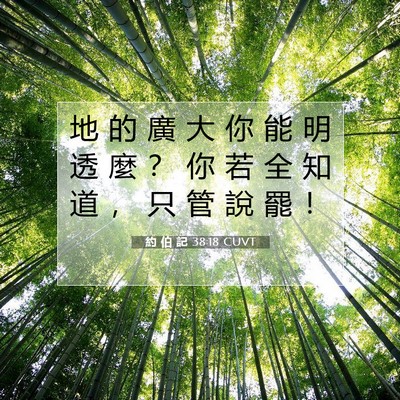 Picture 07 - 約 伯 記 38:18 CUVT - 地 的 廣 大 你 能 明 透 麼 ？ 你 若 - Bible Verse Picture