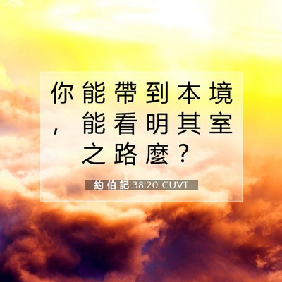 Picture 07 - 約 伯 記 38:20 CUVT - 你 能 帶 到 本 境 ， 能 看 明 其 室 - Bible Verse Picture