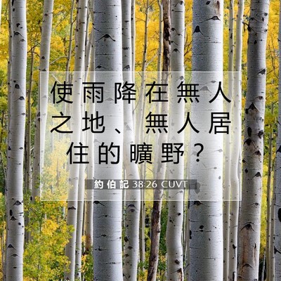 Picture 07 - 約 伯 記 38:26 CUVT - 使 雨 降 在 無 人 之 地 、 無 人 居 - Bible Verse Picture