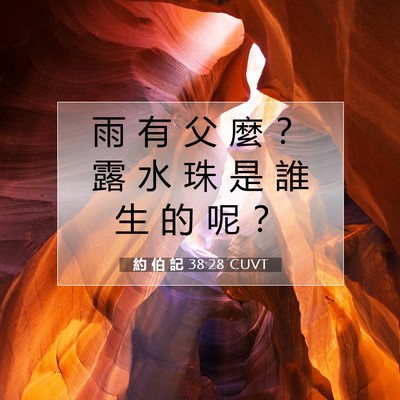 Picture 07 - 約 伯 記 38:28 CUVT - 雨 有 父 麼 ？ 露 水 珠 是 誰 生 的 - Bible Verse Picture