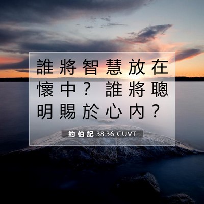 Picture 07 - 約 伯 記 38:36 CUVT - 誰 將 智 慧 放 在 懷 中 ？ 誰 將 聰 - Bible Verse Picture