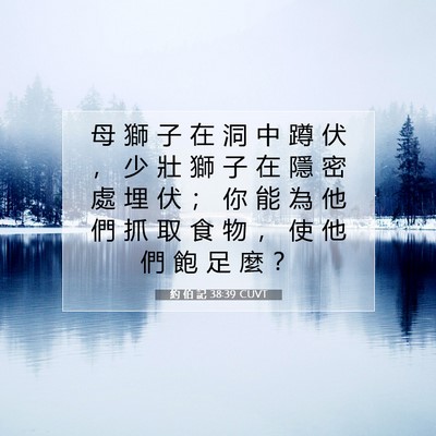 Picture 07 - 約 伯 記 38:39 CUVT - 母 獅 子 在 洞 中 蹲 伏 ， 少 壯 獅 - Bible Verse Picture