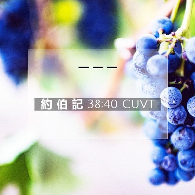 Picture 07 - 約 伯 記 38:40 CUVT -  - Bible Verse Picture