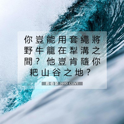 Picture 07 - 約 伯 記 39:10 CUVT - 你 豈 能 用 套 繩 將 野 牛 籠 在 犁 - Bible Verse Picture