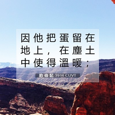 Picture 07 - 約 伯 記 39:14 CUVT - 因 他 把 蛋 留 在 地 上 ， 在 塵 土 - Bible Verse Picture
