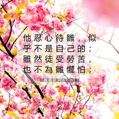 Picture 07 - 約 伯 記 39:16 CUVT - 他 忍 心 待 雛 ， 似 乎 不 是 自 己 - Bible Verse Picture