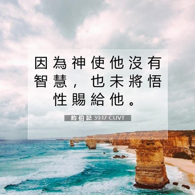 Picture 07 - 約 伯 記 39:17 CUVT - 因 為 神 使 他 沒 有 智 慧 ， 也 未 - Bible Verse Picture