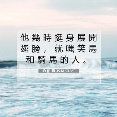 Picture 07 - 約 伯 記 39:18 CUVT - 他 幾 時 挺 身 展 開 翅 膀 ， 就 嗤 - Bible Verse Picture