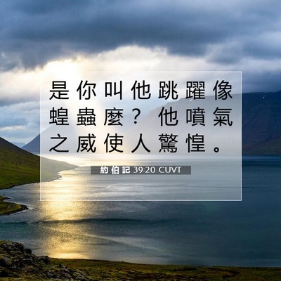 Picture 07 - 約 伯 記 39:20 CUVT - 是 你 叫 他 跳 躍 像 蝗 蟲 麼 ？ 他 - Bible Verse Picture