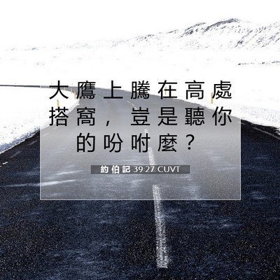 Picture 07 - 約 伯 記 39:27 CUVT - 大 鷹 上 騰 在 高 處 搭 窩 ， 豈 是 - Bible Verse Picture