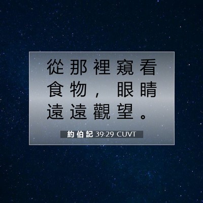 Picture 07 - 約 伯 記 39:29 CUVT - 從 那 裡 窺 看 食 物 ， 眼 睛 遠 遠 - Bible Verse Picture