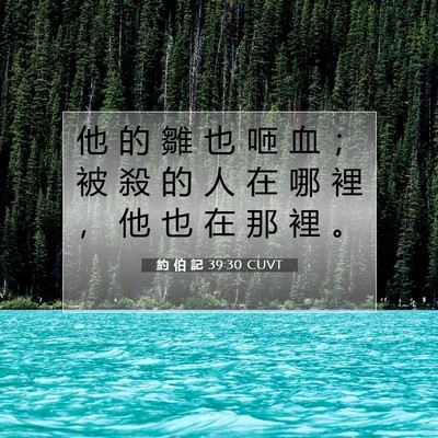 Picture 07 - 約 伯 記 39:30 CUVT - 他 的 雛 也 咂 血 ； 被 殺 的 人 在 - Bible Verse Picture