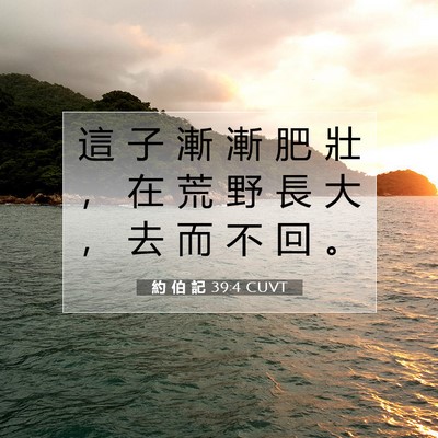 Picture 07 - 約 伯 記 39:4 CUVT - 這 子 漸 漸 肥 壯 ， 在 荒 野 長 大 - Bible Verse Picture