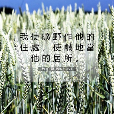 Picture 07 - 約 伯 記 39:6 CUVT - 我 使 曠 野 作 他 的 住 處 ， 使 鹹 - Bible Verse Picture