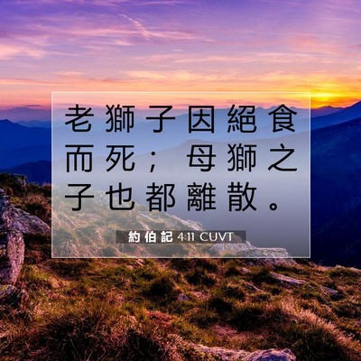 Picture 07 - 約 伯 記 4:11 CUVT - 老 獅 子 因 絕 食 而 死 ； 母 獅 之 - Bible Verse Picture