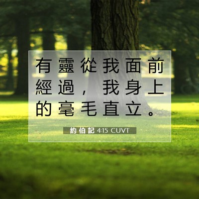Picture 07 - 約 伯 記 4:15 CUVT - 有 靈 從 我 面 前 經 過 ， 我 身 上 - Bible Verse Picture