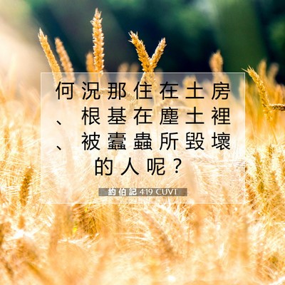 Picture 07 - 約 伯 記 4:19 CUVT - 何 況 那 住 在 土 房 、 根 基 在 塵 - Bible Verse Picture