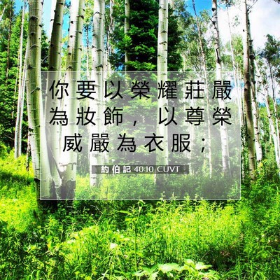 Picture 07 - 約 伯 記 40:10 CUVT - 你 要 以 榮 耀 莊 嚴 為 妝 飾 ， 以 - Bible Verse Picture
