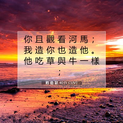 Picture 07 - 約 伯 記 40:15 CUVT - 你 且 觀 看 河 馬 ； 我 造 你 也 造 - Bible Verse Picture
