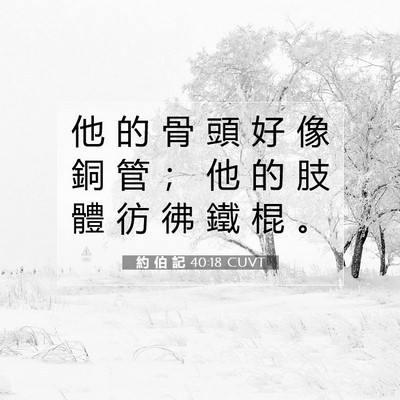 Picture 07 - 約 伯 記 40:18 CUVT - 他 的 骨 頭 好 像 銅 管 ； 他 的 肢 - Bible Verse Picture