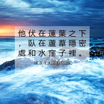 Picture 07 - 約 伯 記 40:21 CUVT - 他 伏 在 蓮 葉 之 下 ， 臥 在 蘆 葦 - Bible Verse Picture