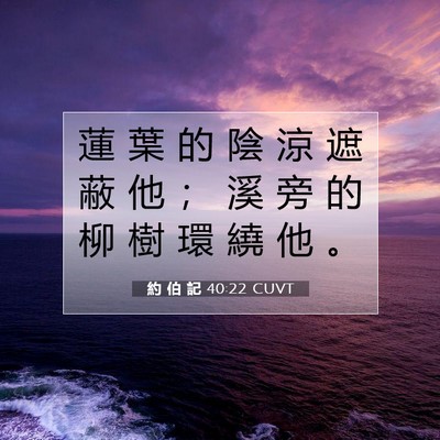 Picture 07 - 約 伯 記 40:22 CUVT - 蓮 葉 的 陰 涼 遮 蔽 他 ； 溪 旁 的 - Bible Verse Picture