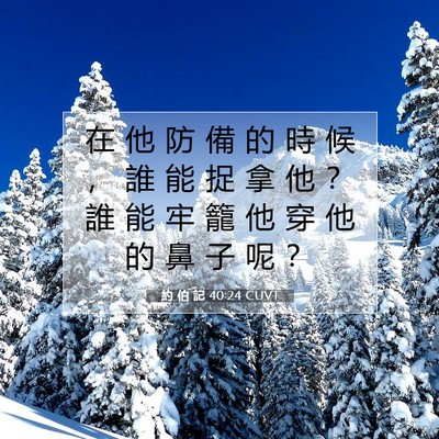 Picture 07 - 約 伯 記 40:24 CUVT - 在 他 防 備 的 時 候 ， 誰 能 捉 拿 - Bible Verse Picture