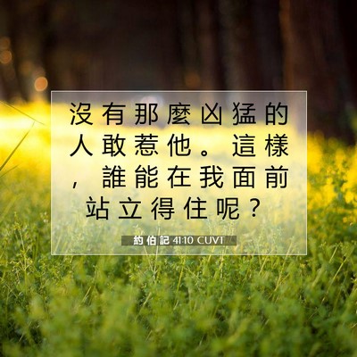 Picture 07 - 約 伯 記 41:10 CUVT - 沒 有 那 麼 凶 猛 的 人 敢 惹 他 。 - Bible Verse Picture