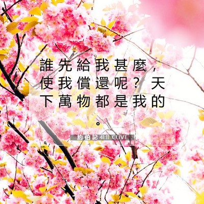 Picture 07 - 約 伯 記 41:11 CUVT - 誰 先 給 我 甚 麼 ， 使 我 償 還 呢 - Bible Verse Picture