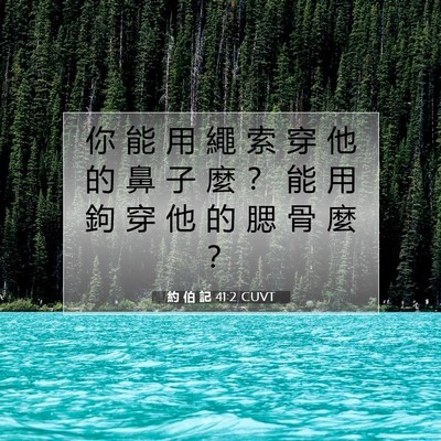 Picture 07 - 約 伯 記 41:2 CUVT - 你 能 用 繩 索 穿 他 的 鼻 子 麼 ？ - Bible Verse Picture
