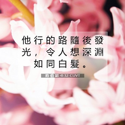 Picture 07 - 約 伯 記 41:32 CUVT - 他 行 的 路 隨 後 發 光 ， 令 人 想 - Bible Verse Picture